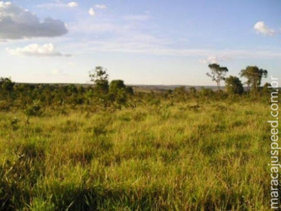 PM encontra homem sendo submetido a trabalho escravo em chácara de MS