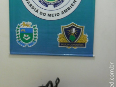 PMA autua infrator em R$ 1 mil por posse de motosserra ilegal 