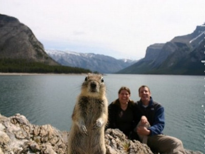 Cientista explica a "foto mais feliz do mundo"