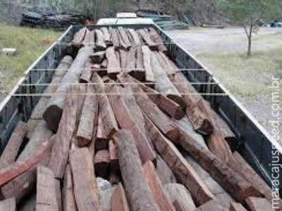 Caminhoneiro é multado em R$ 5,7 mil por carga ilegal de madeira