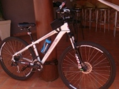 Ladrões fazem “limpa” em casa e levam até cachorro da vítima