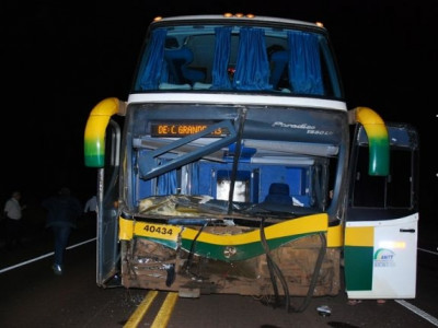 Ônibus com 29 passageiros colide com vacas na BR-267