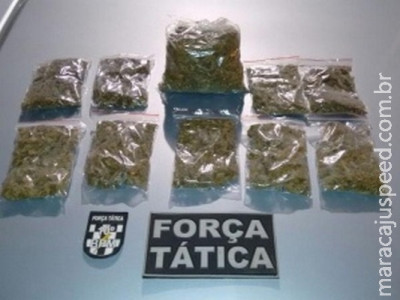 "Super maconha" avaliada em R$ 35,9 mil é apreendida