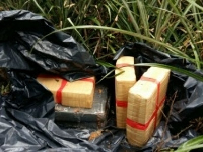 Policiais ambientais encontraram 179,3 quilos de maconha abandonada em mata