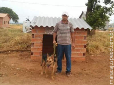 Dono instala ar-condicionado na casa da cadela no Tocantins