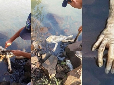 Criatura estranha é achada em rio e assusta moradores no Paraguai