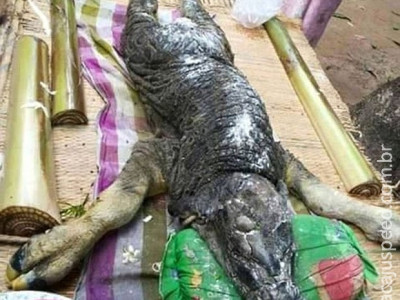 Tailandeses ficam aterrorizados com aparência bizarra de animal