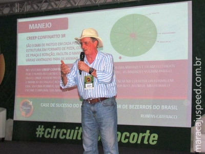 Valor do bezerro em MS ultrapassa 41% em relação a RO