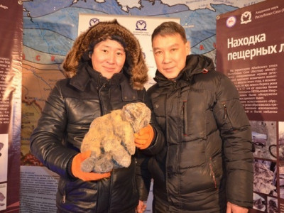 Rússia detalha achado inédito de leões-das-cavernas de 12 mil anos 