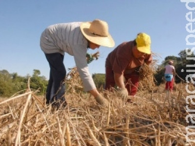 Aposentadoria especial para trabalhador rural está assegurada