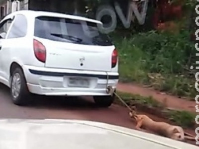 Polícia identifica dono de carro que foi flagrado arrastando cachorro