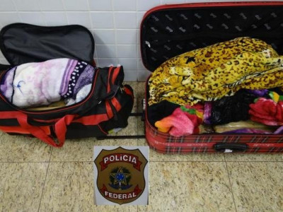 PF prende três pessoas tentando embarcar com drogas no aeroporto