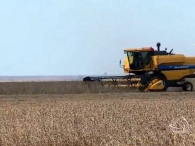 Valor da produção agropecuária de MS cresce R$ 1,466 bi em 2015