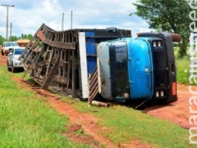 Após cair em buraco, caminhão carregado com bovinos tomba em estrada