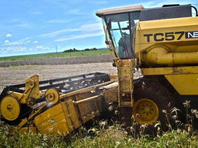 Agricultor aproveita janela de sol e intensifica colheita de soja em MS