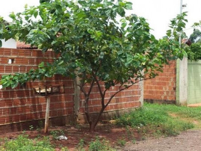 Perigo de explosão: mãe e filha sofrem queimaduras após vazamento de gás