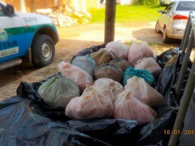 PM apreende 200 Kg de carne de jacaré que iriam para restaurantes