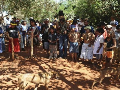 Indígenas são expulsos de fazenda em MS e índia está desaparecida
