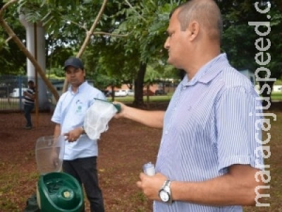 Fiasco: em teste, máquina engole menos mosquitos que o esperado