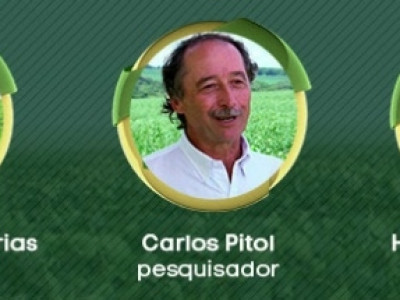 Concurso Cultural "Personagem Soja Brasil" reconhece profissionais do campo