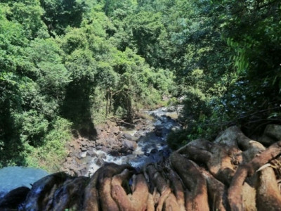 Equipes vasculham cachoeira atrás de arma usada para matar manicure