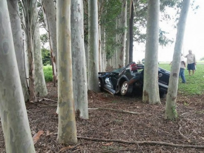 Homem capota veículo, bate em eucaliptos e morre