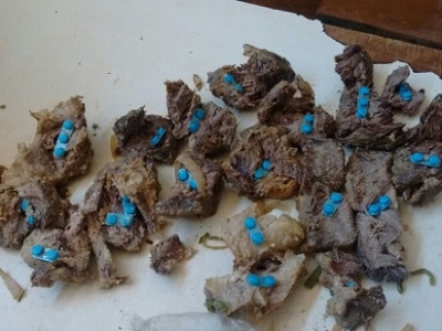 Agepen investiga comércio de estimulante sexual em presídio