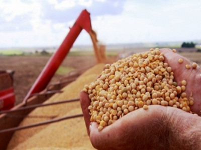 Produção brasileira de grãos deve chegar a 210,3 milhões de toneladas