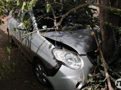 Almoço frustrado: motorista sai para comprar frango assado e colide em árvore