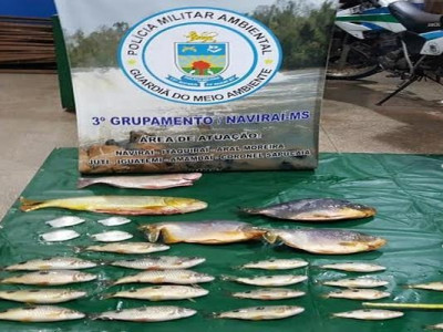 Polícia ambiental apreende 19 kg de peixes em extinção pescados irregularmente
