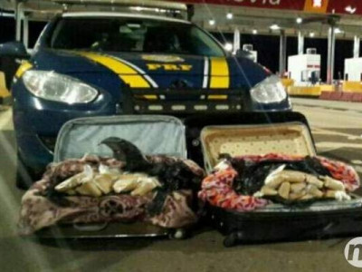 Babá é presa transportando mais de 50 quilos de maconha na bagagem