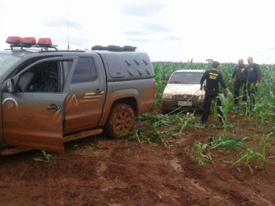 DOF apreende carga de cigarro avaliada em R$ 65 mil