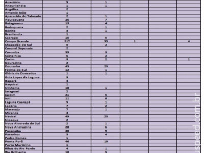 Dourados registra 23 casos de H1N1 e outros 45 são suspeitos