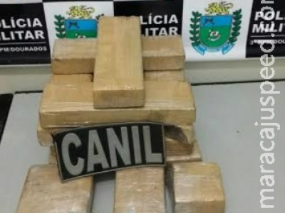 Farejador encontra droga com adolescente na rodoviária