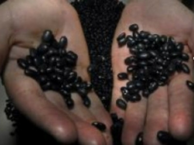 Operação Ágata 11 apreende quase R$ 10 milhões em soja sem documentação