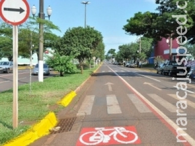 Veículos serão multados e guinchados se ficarem estacionados na rota da tocha