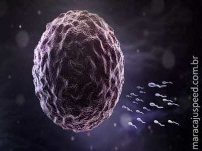  Bebês com três pais podem se tornar realidade em 2017