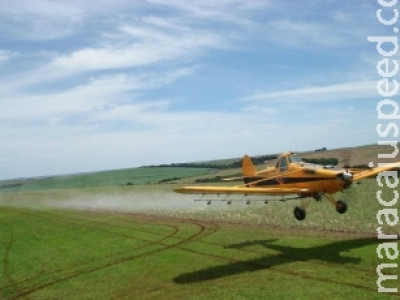 Justiça proíbe pulverizar agrotóxicos sobre terra indígena