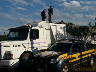 Fundo falso de carreta escondia mais de 1 tonelada de maconha