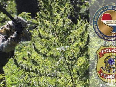 Parceria entre Brasil e Paraguai já desfalcou tráfico em R$ 700 milhões