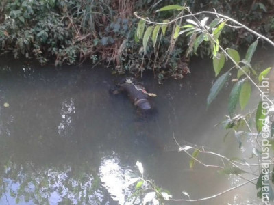 Homem encontrado em córrego foi executado a tiros; polícia identifica