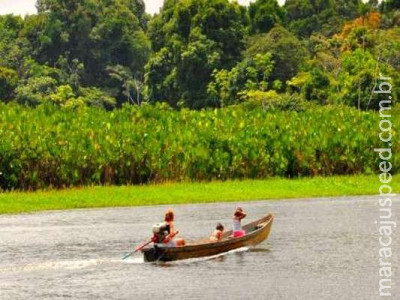  Pará ganha quatro novas Unidades de Conservação