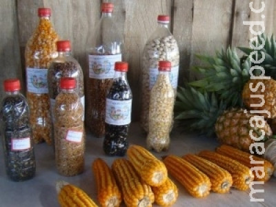 Feira agrícola que começa hoje quer resgatar uso das sementes crioulas