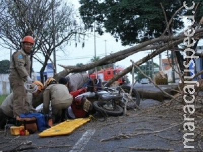 Árvore seca despenca e fere casal que passava de moto por avenida