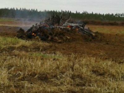 PMA autua assentado em R$ 4 mil por desmatamento e incêndio ilegais