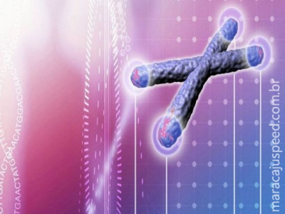 Cientistas culpam Excel por erro em estudos de genética