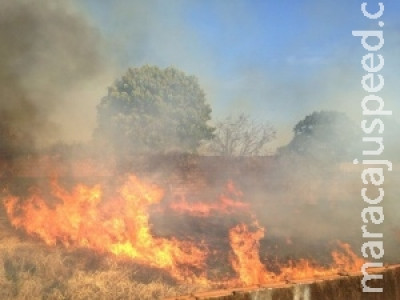 Fogo em terreno baldio ameaça casas e assusta moradores