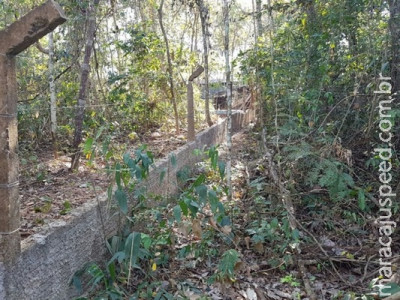 Idoso é multado ao construir muro e cercar margens do rio Aquidauana 