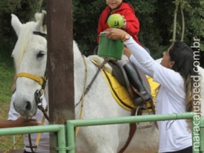 Projeto de Lei prevê difundir a prática da equoterapia em MS