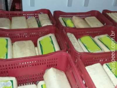 PRF apreende 2,2 toneladas de queijo impróprio para consumo em MS